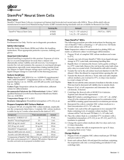 StemPro&reg; Neural Stem Cells