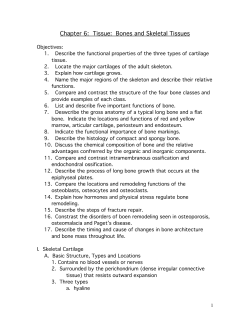 Chapter 6: Tissue: Bones and Skeletal Tissues