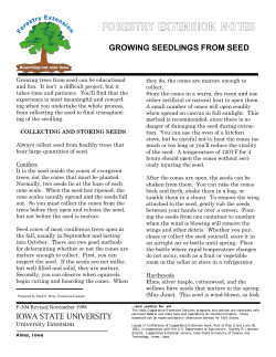 Growing Seedlings from Seed - Iowa State University Extension and