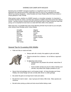 Sharing Camp with Wildlife - Girl Scouts of Southeast Florida