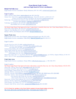 Orem District Eagle Coaches and Area Eagle board of review