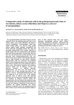 Comparative study of endocrine cells in the principal pancreatic