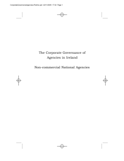 The Corporate Governance of Agencies in Ireland