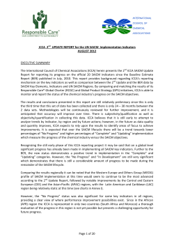 ICCA 2nd Update Report for the UN SAICM Implementation