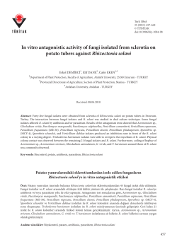 In vitro antagonistic activity of fungi isolated from