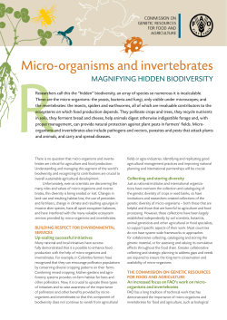 Micro-organisms and invertebrates