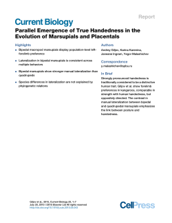 Parallel Emergence of True Handedness in the Evolution of