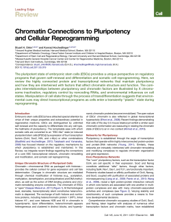 Chromatin Connections to Pluripotency and Cellular Reprogramming