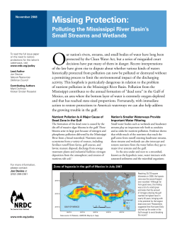 NRDC: Missing Protection - Polluting the Mississippi River Basin`s