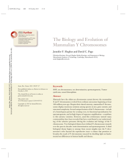 The Biology and Evolution of Mammalian Y - David Page Lab