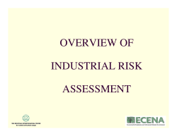 Industrial Risk Management Overview
