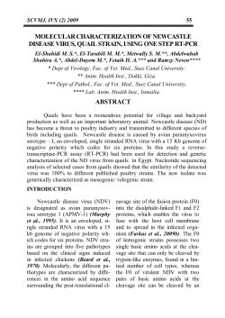 Molecular characterization of Newcastle disease virus, quail strain