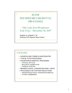 potw phosphorus removal processes