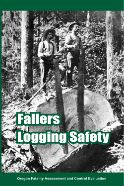 Fallers Logging Safety