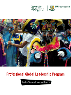 Professional Global Leadership Program