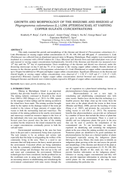 GROWTH AND MORPHOLOGY OF THE RHIZOME AND RHIZOID of