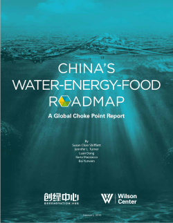 China`s Water-Energy-Food Roadmap