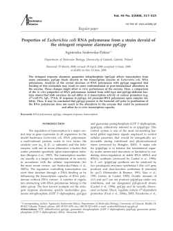 Properties of Escherichia coli RNA polymerase from a strain devoid