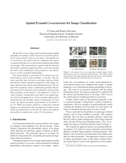 Spatial Pyramid Co-occurrence for Image Classification
