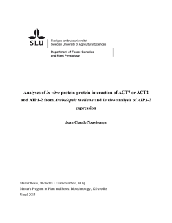Analyses of in vitro protein-protein interaction of ACT7 or