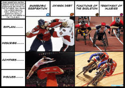 Anaerobic respiration Oxygen debt Functions of the skeleton