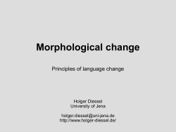 5. Morphological change