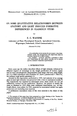 on some quantitative relationships between anatomy and light
