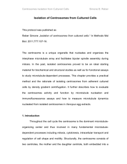 Isolation of Centrosomes from Cultured Cells