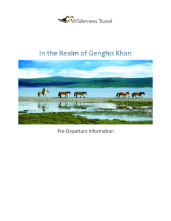 In the Realm of Genghis Khan