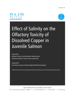 Effect of Salinity on the Olfactory Toxicity of Dissolved Copper in
