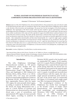 Floral anatomy of Delphinieae