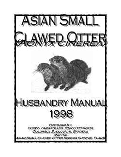 Asian Small-Clawed Otter Husbandry Manual