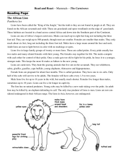 Read and React.indd