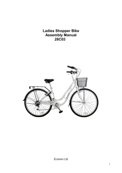 28C03 Ladies Bike Manual