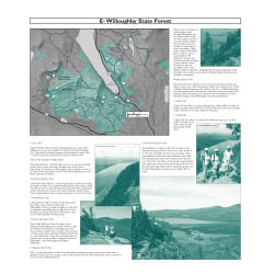 E-Willoughby State Forest