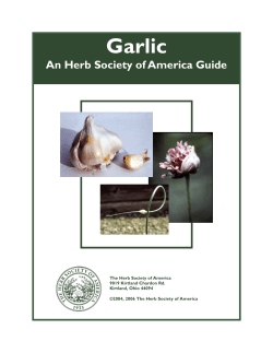 Garlic Guide - Herb Society of America