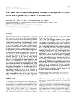 FGF-, BMP- and Shh-mediated signalling pathways