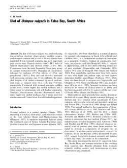 Diet of Octopus vulgaris in False Bay, South Africa