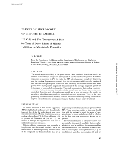 ELECTRON MICROSCOPY OF MITOSIS IN AMEBAE III. Cold and