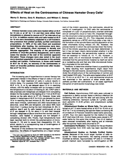 Effects of Heat on the Centrosomes of Chinese
