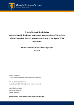 China`s Strategic Trade Policy Industry