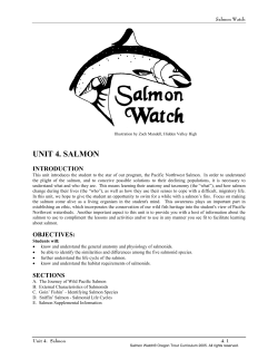unit 4. salmon