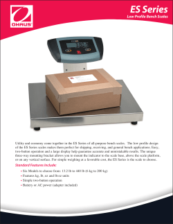 ES Series Low Profile Bench Scales