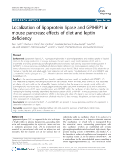 Localization of lipoprotein lipase and GPIHBP1 in mouse pancreas
