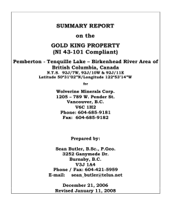 SUMMARY REPORT on the GOLD KING PROPERTY