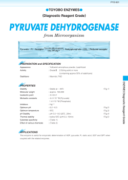 PYRUVATE DEHYDROGENASE