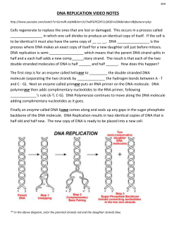 dna replication video notes