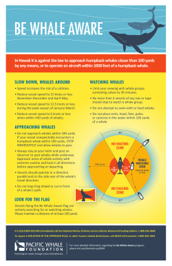 "Be Whale Aware" guidelines
