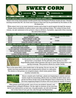 The Local Produce Book - 2014 - Corn