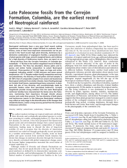 Late Paleocene fossils from the Cerrej&oacute;n Formation, Colombia, are